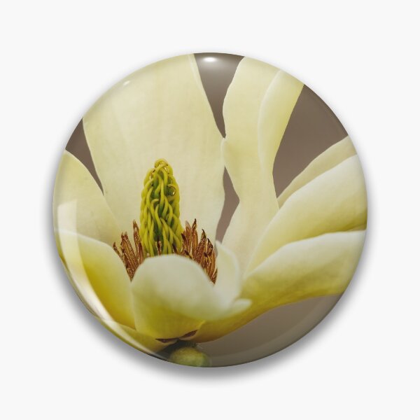 Item preview, Yellow Magnolia Bloom designed and sold by mljdwhite.