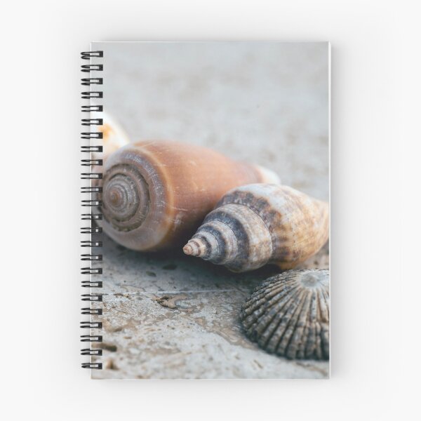 Item preview, Seashells designed and sold by Elena Ray.