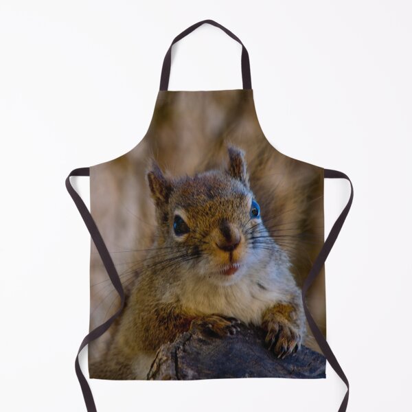 Item preview, Young Red Squirrel Patiently Waiting For Seed designed and sold by ManiacMoose.