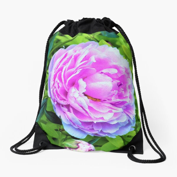 Aperçu de l'œuvre Jardin de haies de pivoines roses et de troènes dorés créée et vendue par myrubiogarden.