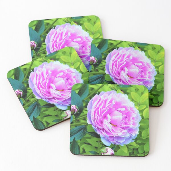 Item preview, Pink Peony and Golden Privet Hedge Garden designed and sold by myrubiogarden.