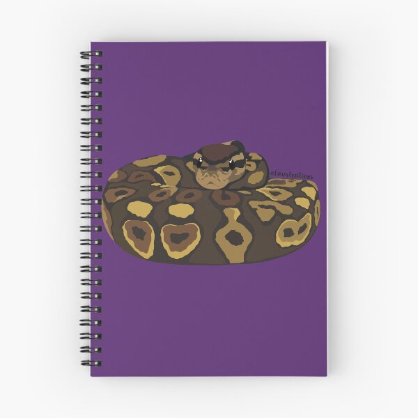 Aperçu de l'œuvre Python royal (Python regius) créée et vendue par Alawstrations.