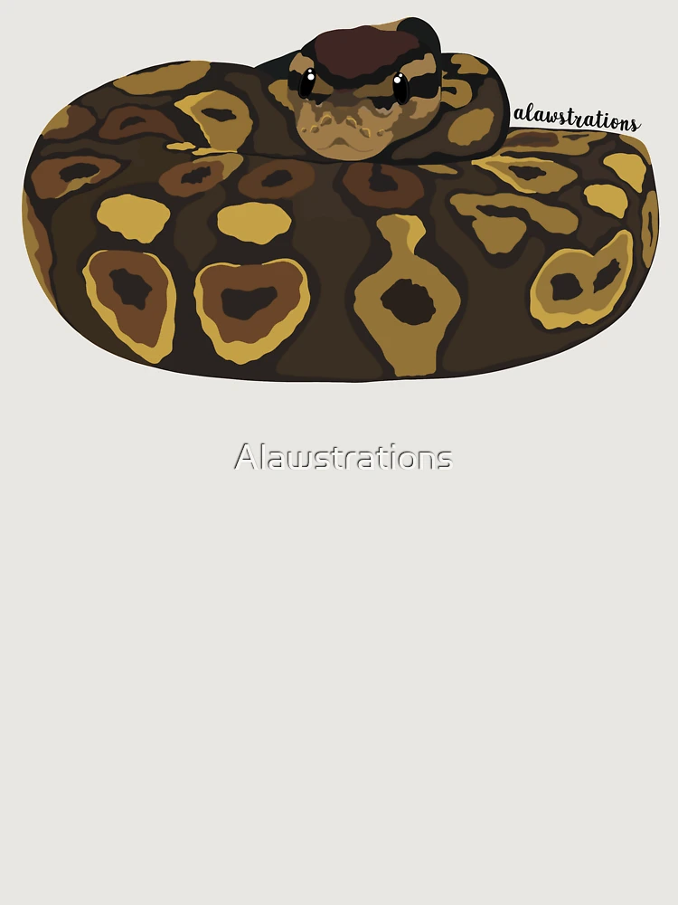 Thumbnail 6 of 6, Premium Oversized Hoodie, Royal Python(Python regius) designed and sold by Alawstrations.