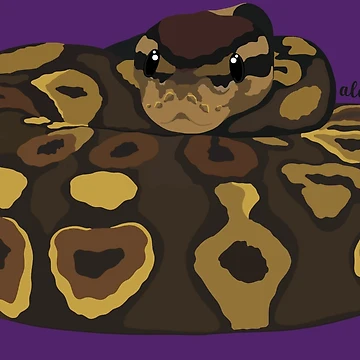Artwork thumbnail, Royal Python(Python regius) by Alawstrations