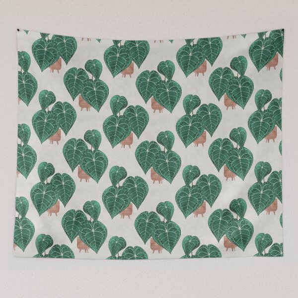 Item preview, Anthurium clarinervium (potted) designed and sold by Iker Paz Studio.