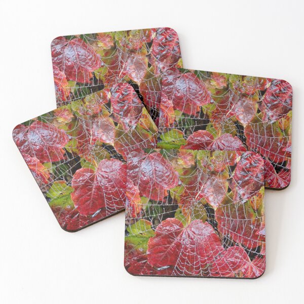 Item preview, Who Lives On A Web Like This? designed and sold by Barrie Woodward.