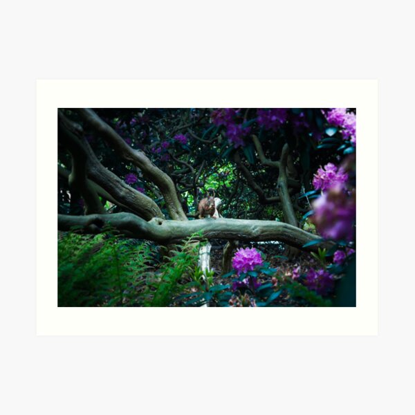 squirrel 005 Art Print