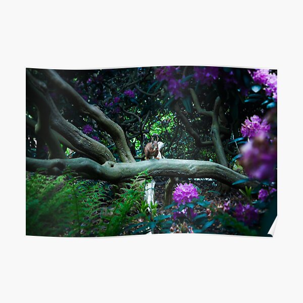 squirrel 005 Poster