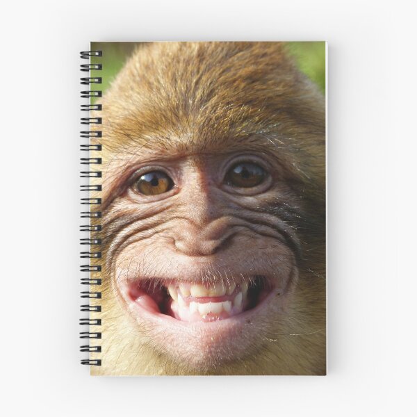 Item preview, monkey designed and sold by Gabi Siebenhühner.
