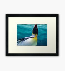 Penguin Framed Print