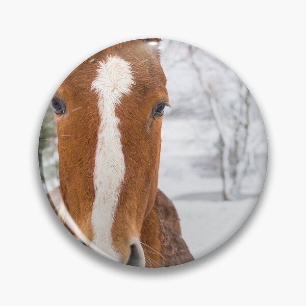 Item preview, Straight On Horse designed and sold by mljdwhite.