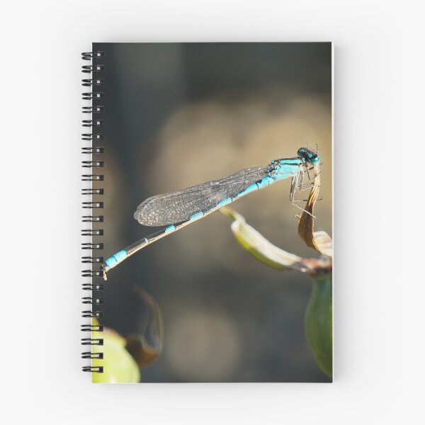 Item preview, A Beautiful Turquoise Damselfly designed and sold by MomentofPercep.
