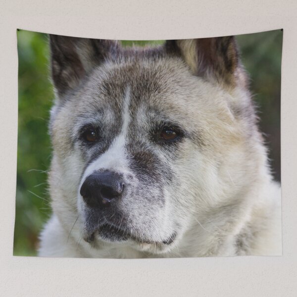 Item preview, Akita On Watch designed and sold by KarenWoodArt.