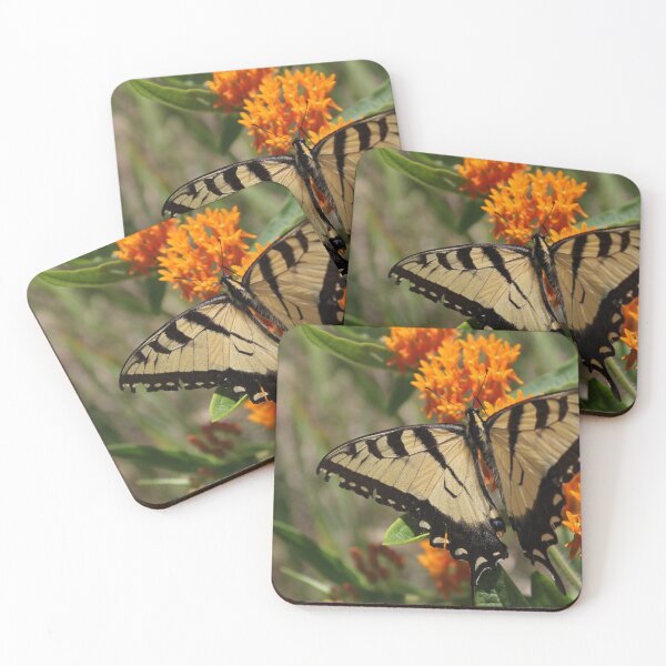 Item preview, Swallowtail enjoys some butterflyweed. designed and sold by themuseinspired.