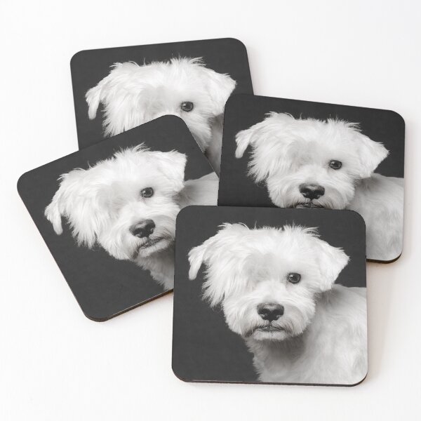 Item preview, cute white schnauzer dog on black background designed and sold by Nikoleta Vukovic.