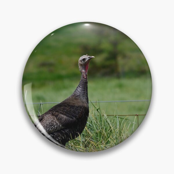 Item preview, Wild Turkey designed and sold by photosbypamela.