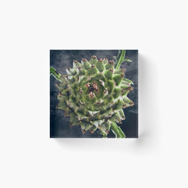 Item preview, Globe Artichoke head detail designed and sold by Greg Morris.