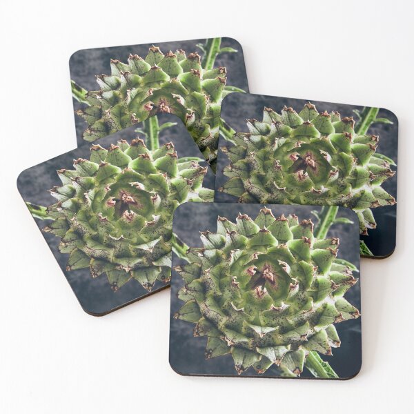 Item preview, Globe Artichoke head detail designed and sold by Greg Morris.