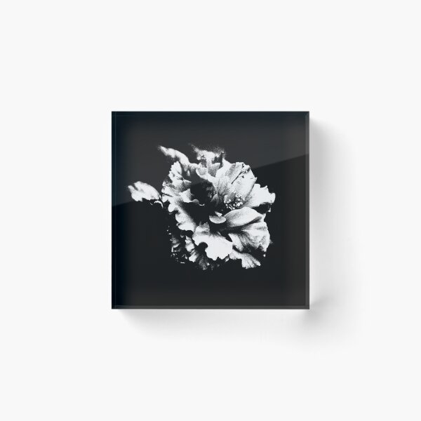 Item preview, Fading Flower in Superposition designed and sold by OurWorldTree.