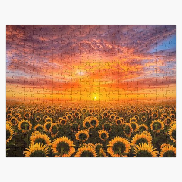 Sunflower Jigsaw Puzzles Redbubble