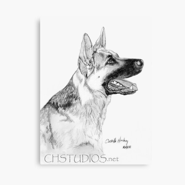 Fuzzy Wuzzy Canvas Print