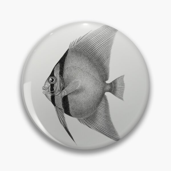 Item preview, Orbicular Batfish designed and sold by thricechampion.