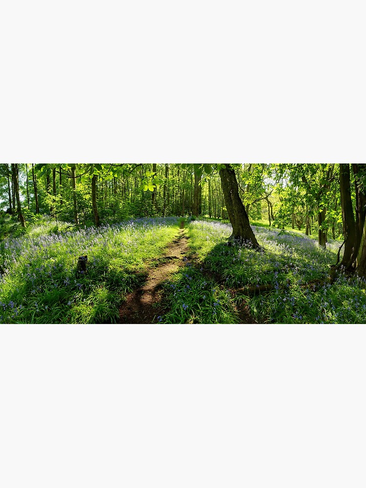 Thumbnail 3 of 3, Art Print, Bluebells in Spring Crag Wood designed and sold by sjbowen.