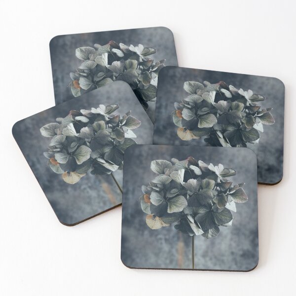 Item preview, Dried flower head designed and sold by Greg Morris.