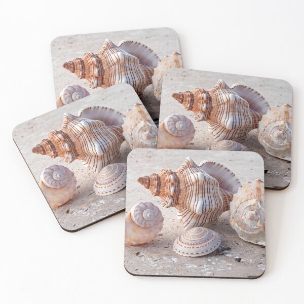Item preview, Collection Of Seashells designed and sold by Elena Ray.