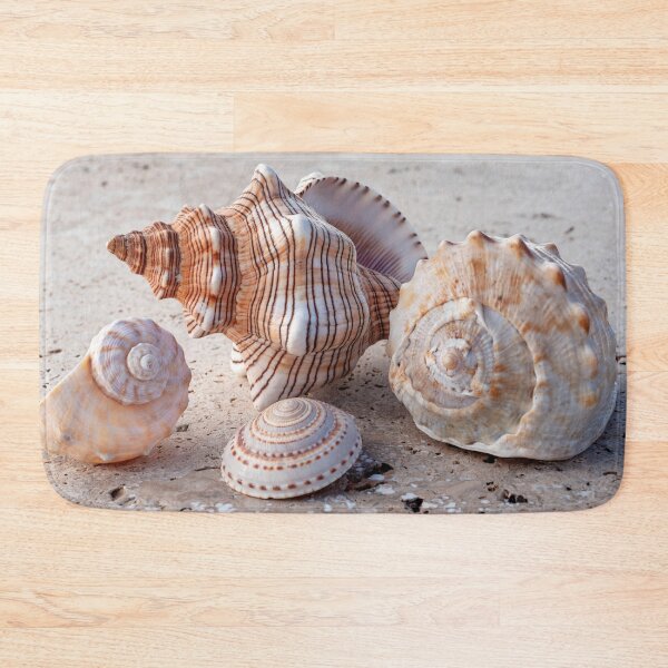 Item preview, Collection Of Seashells designed and sold by Elena Ray.