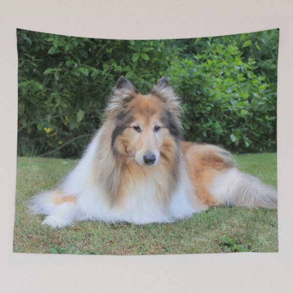 Item preview, Sable Rough Collie designed and sold by KarenWoodArt.