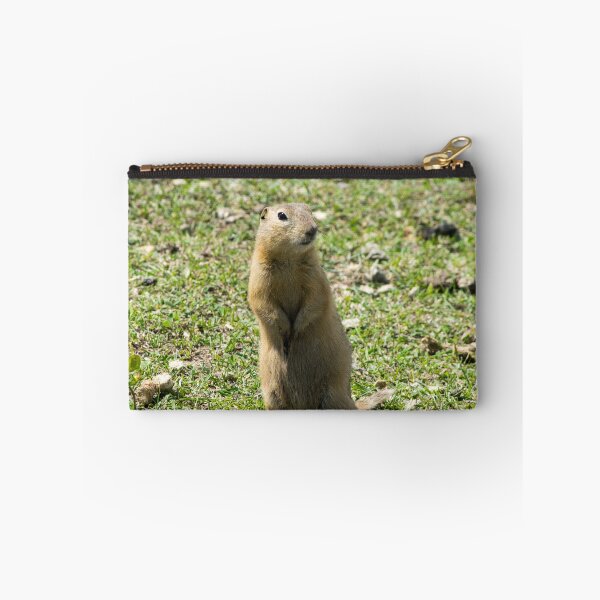 Item preview, Richardson ground squirrel designed and sold by CanadianWild418.