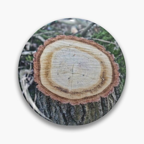 Item preview, Tree stump designed and sold by KatieWilde04.