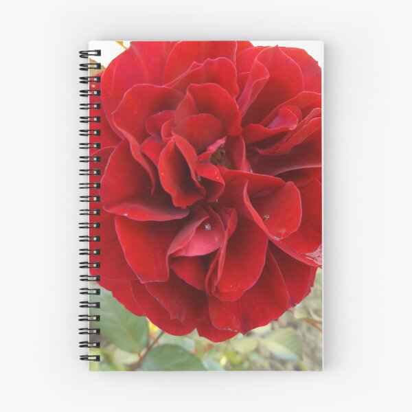 Artikelvorschau, Rote Rose entworfen und verkauft von This and That.