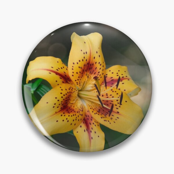 Item preview, Lily  designed and sold by Jacob Schouten.