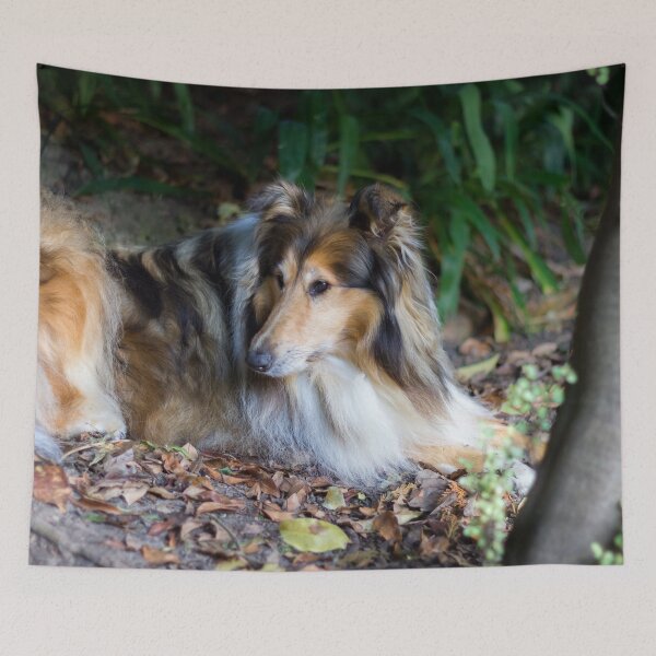 Item preview, Rough Diamond Collie designed and sold by KarenWoodArt.