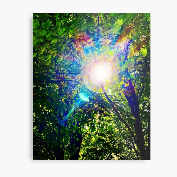 Sun through the leaves Metal Print