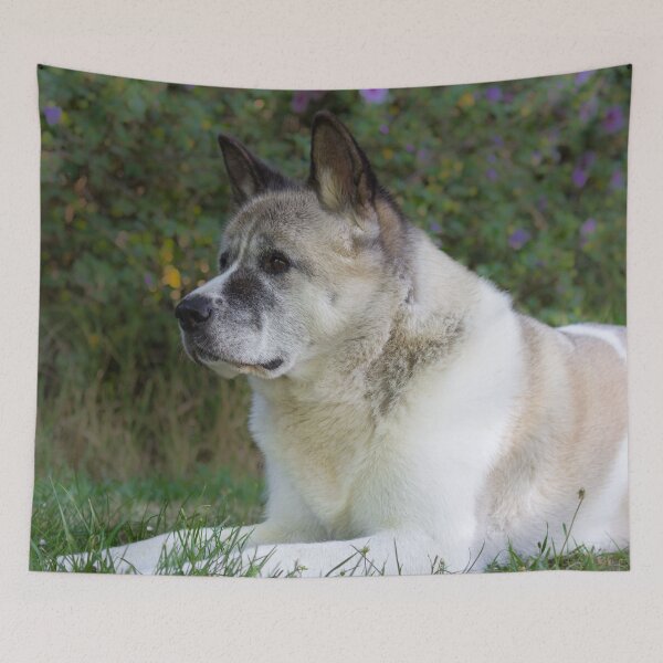 Item preview, American Akita designed and sold by KarenWoodArt.