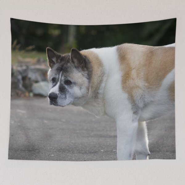 Item preview, Akita Heart designed and sold by KarenWoodArt.
