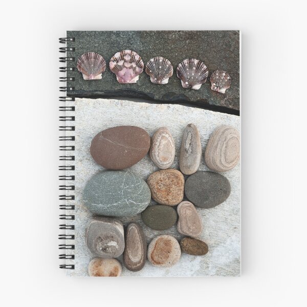Item preview, Seashells and Beach Stones  designed and sold by Elena Ray.