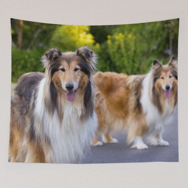 Item preview, Diamond And Gold Collies designed and sold by KarenWoodArt.