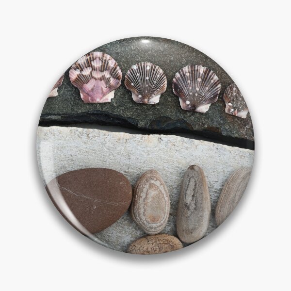 Item preview, Seashells and Beach Stones  designed and sold by Elena Ray.