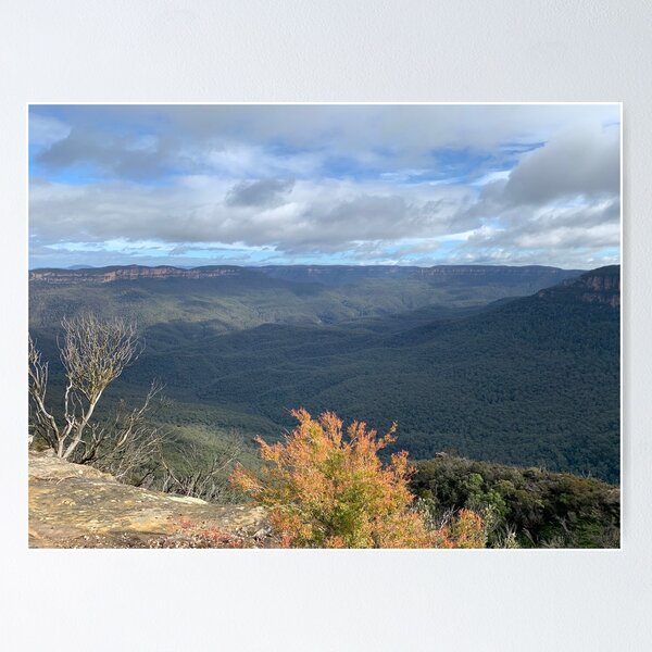 Item preview, Lincoln’s Rock, Blue Mountains, NSW designed and sold by Mariam Kabbout.