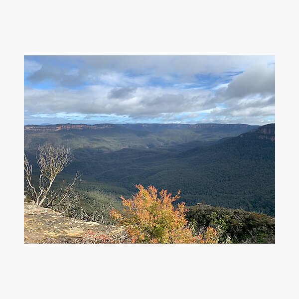 Item preview, Lincoln’s Rock, Blue Mountains, NSW designed and sold by Mariam Kabbout.