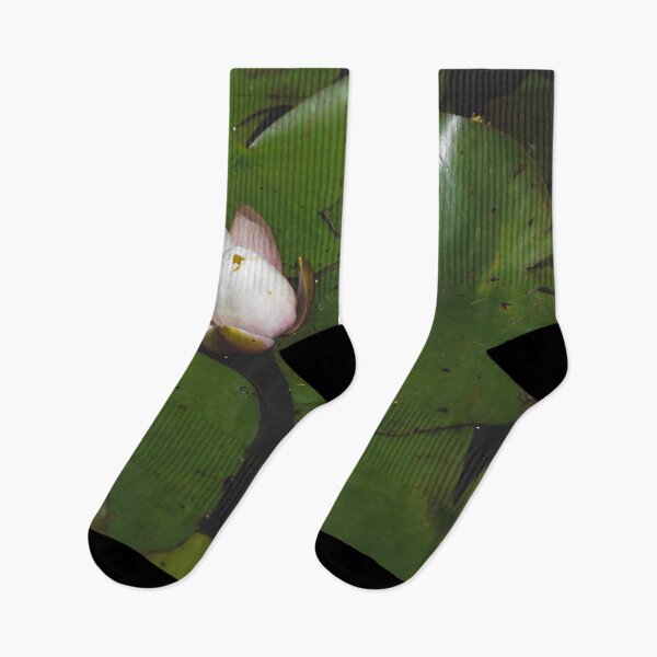 Item preview, Water Lily | Flower | 2023 designed and sold by aloresarts.