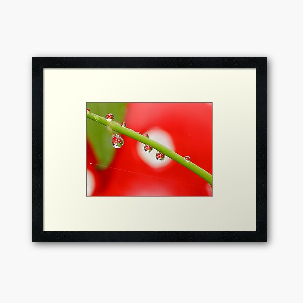 Item preview, H20 Macro - Strawberry Drops designed and sold by Gabrielle  Lees.