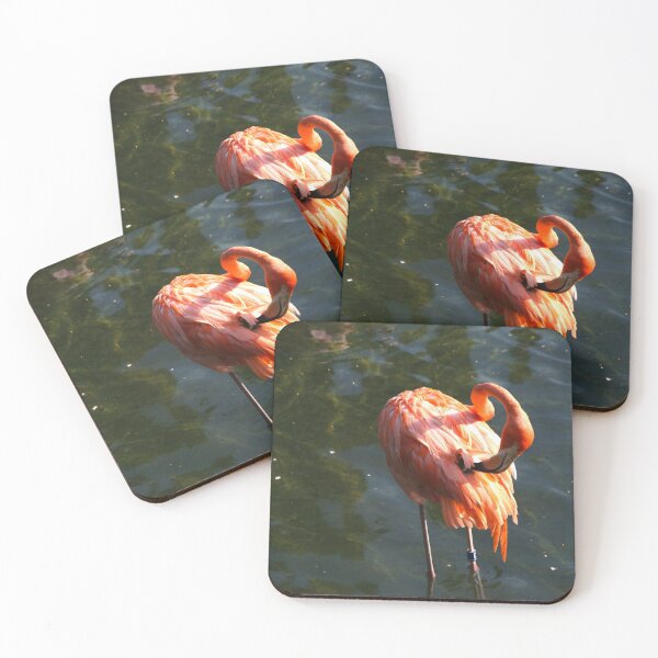 Item preview, Flamenco rosado del Caribe en Busch Gardens designed and sold by Monika's Shop.