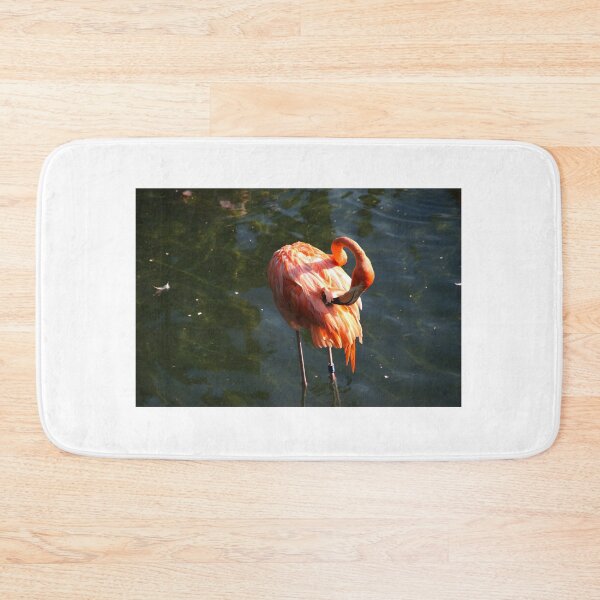 Item preview, Pink Caribbean Flamingo at Busch Gardens designed and sold by Monika's Shop.