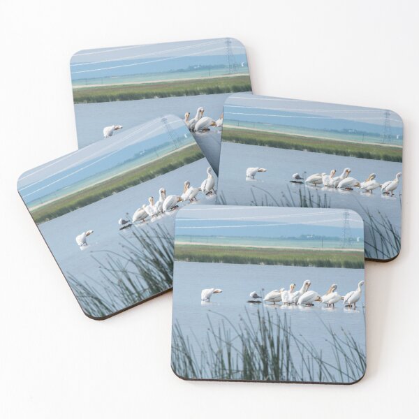 Item preview, American white pelicans designed and sold by CanadianWild418.