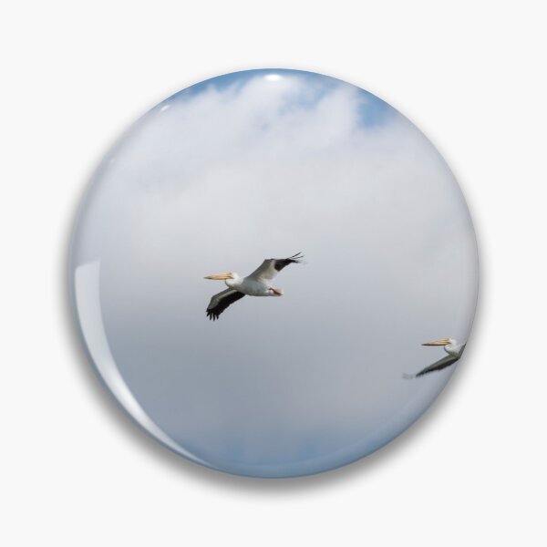 Item preview, American pelicans in flight designed and sold by CanadianWild418.